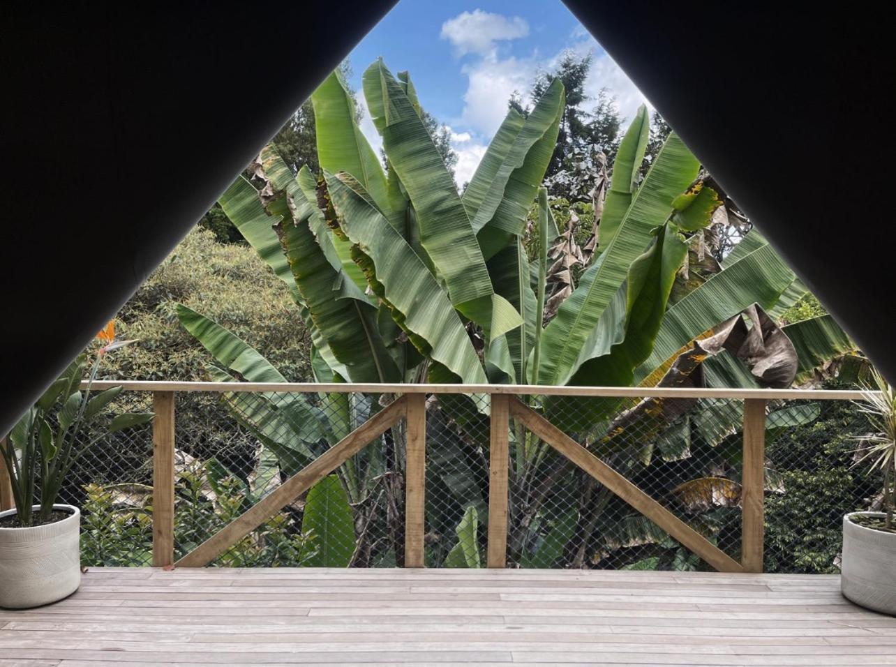 Teva Glamping & Retreat Hotell Rionegro Rum bild