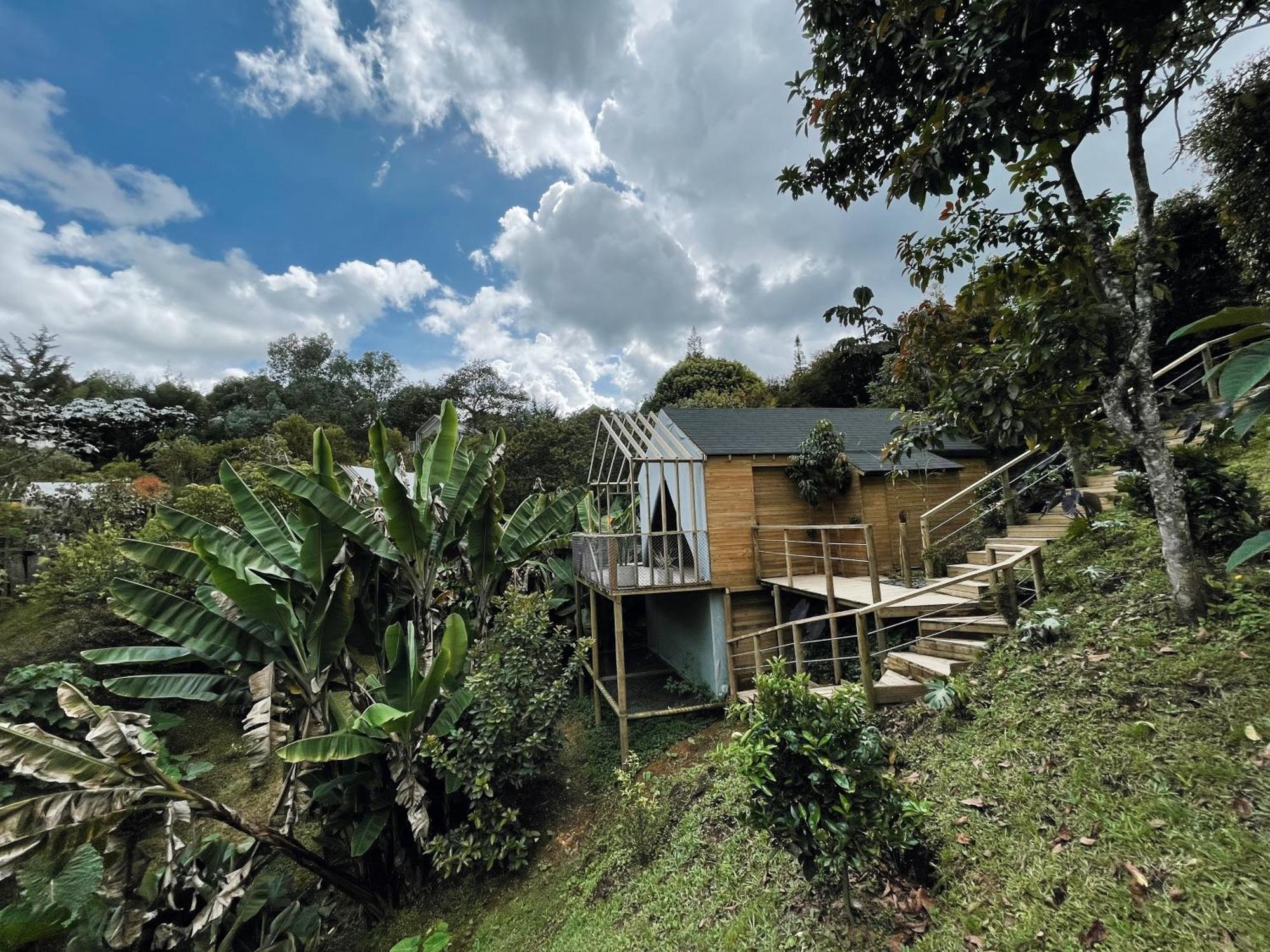 Teva Glamping & Retreat Hotell Rionegro Rum bild