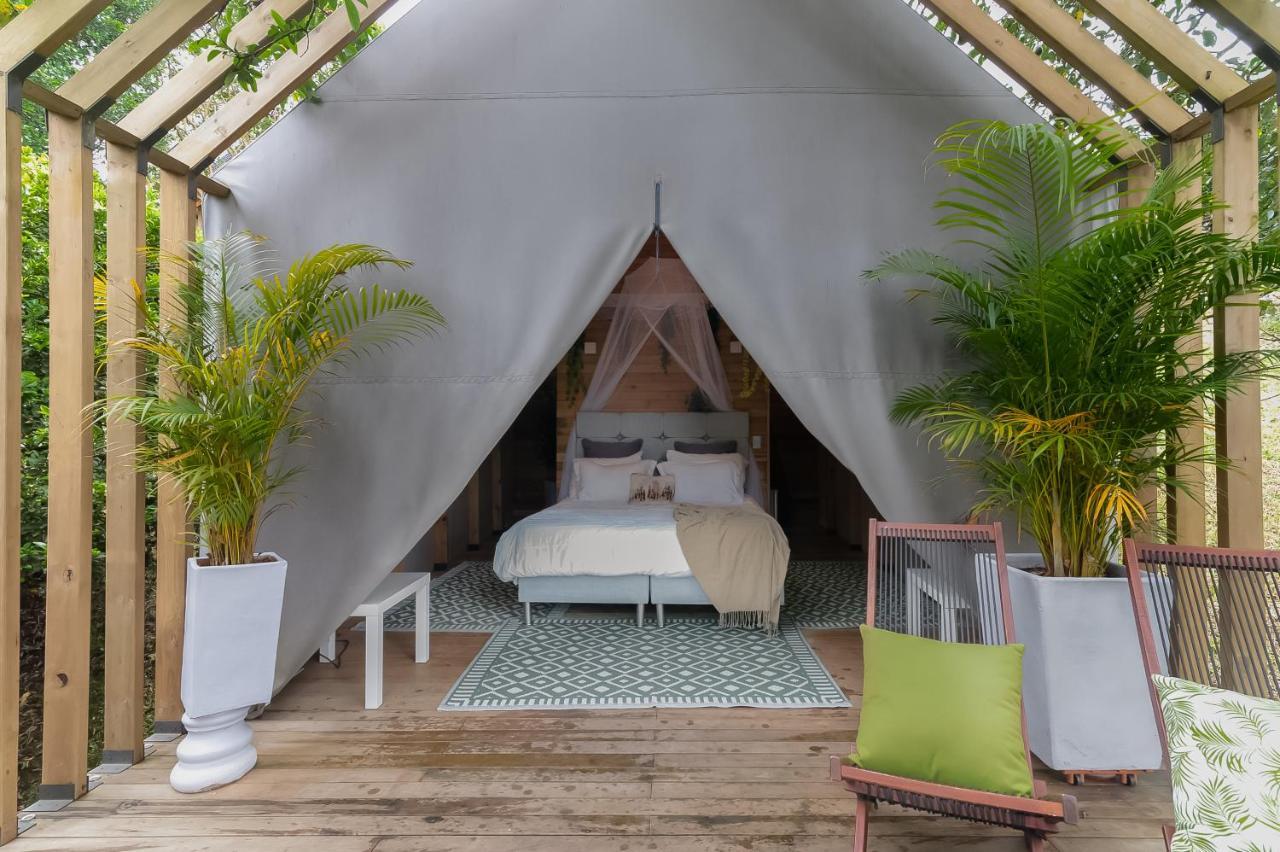 Teva Glamping & Retreat Hotell Rionegro Rum bild